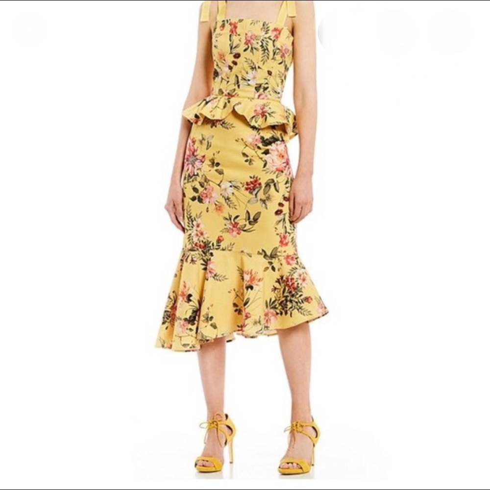 NWT Antonio Melani Loraine Floral Print Dress